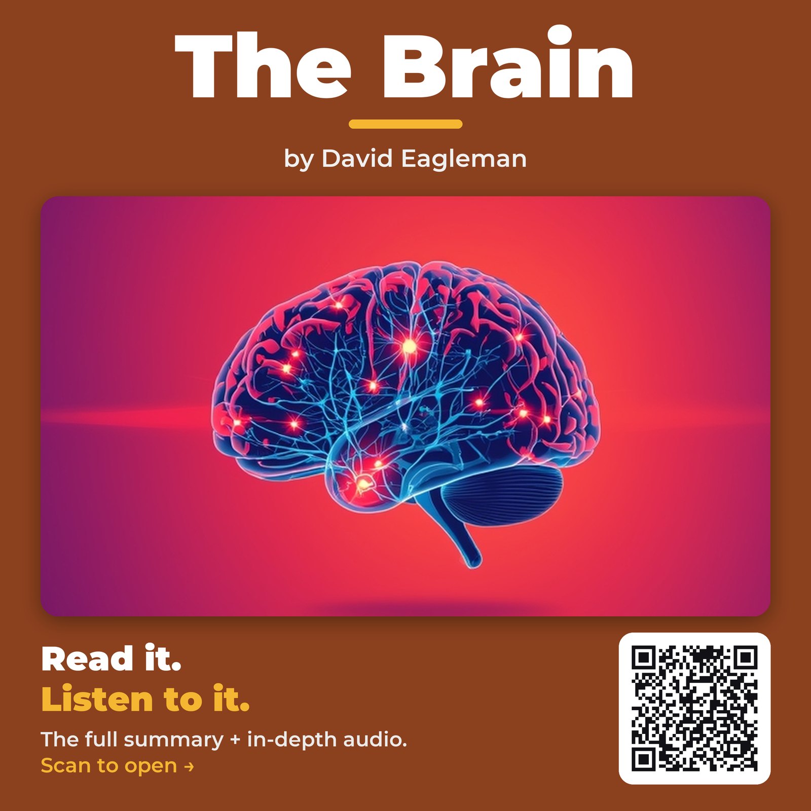 The Brain by David Eagleman