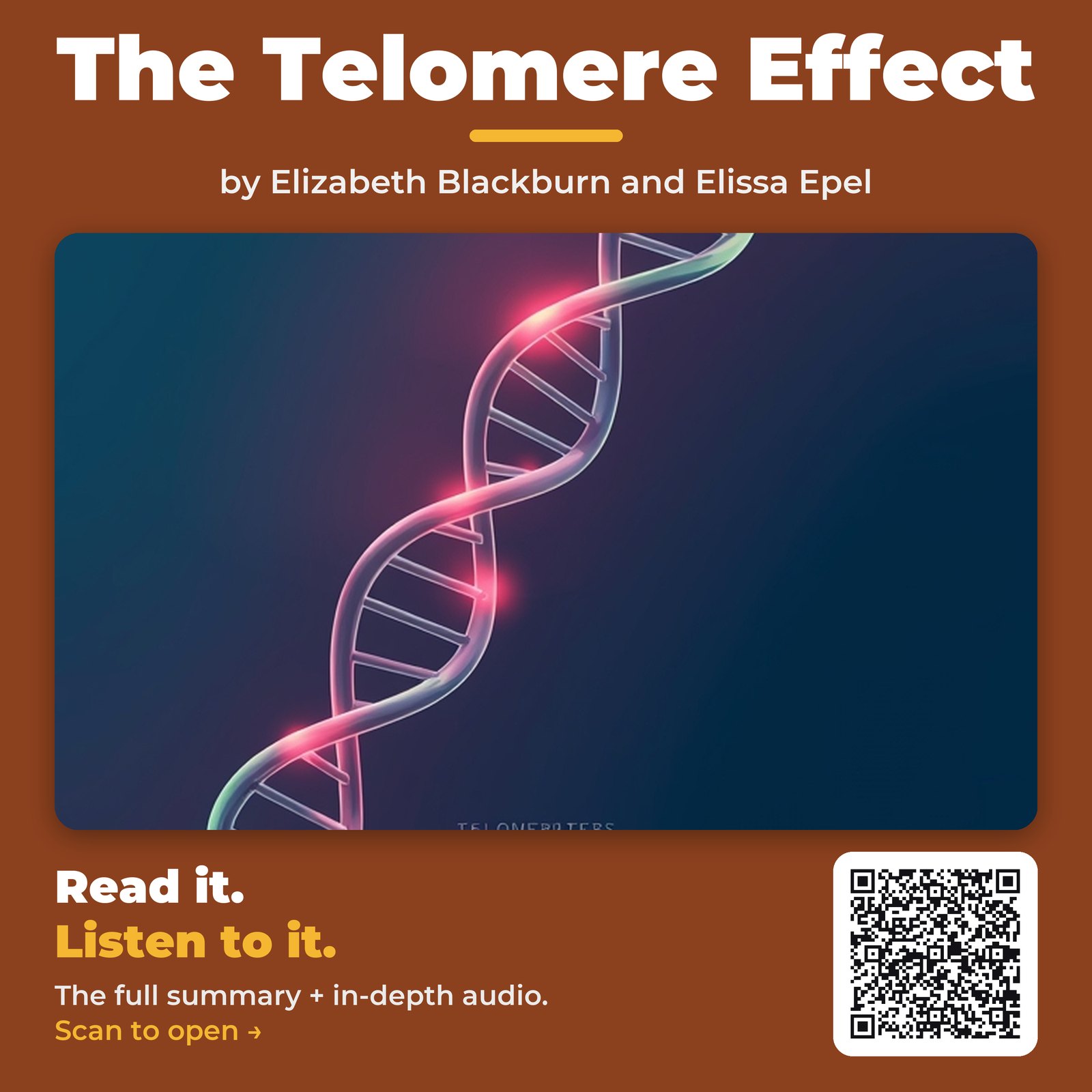 The Telomere Effect by Elizabeth Blackburn and Elissa Epel - Book Summary
