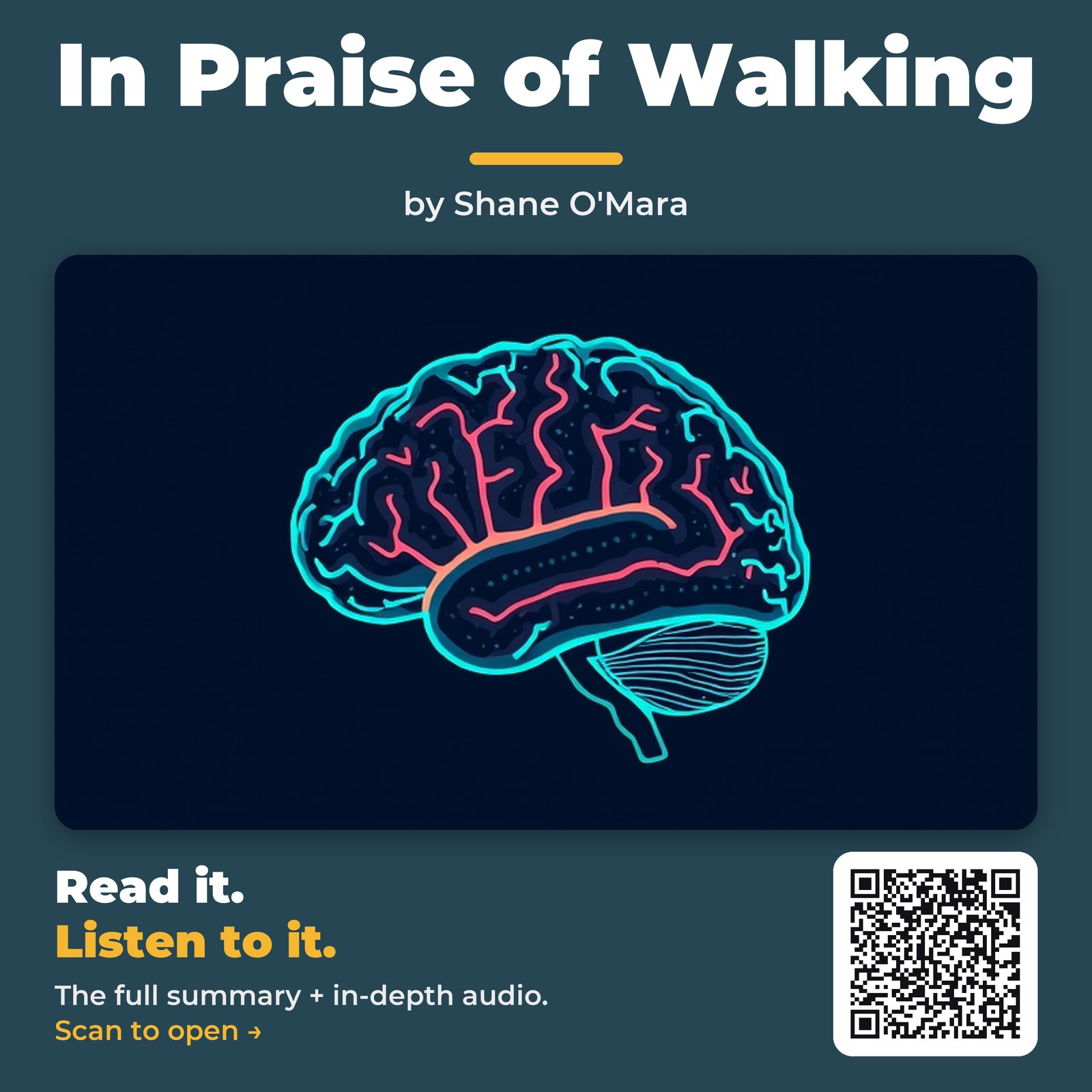 In Praise of Walking by Shane O'Mara