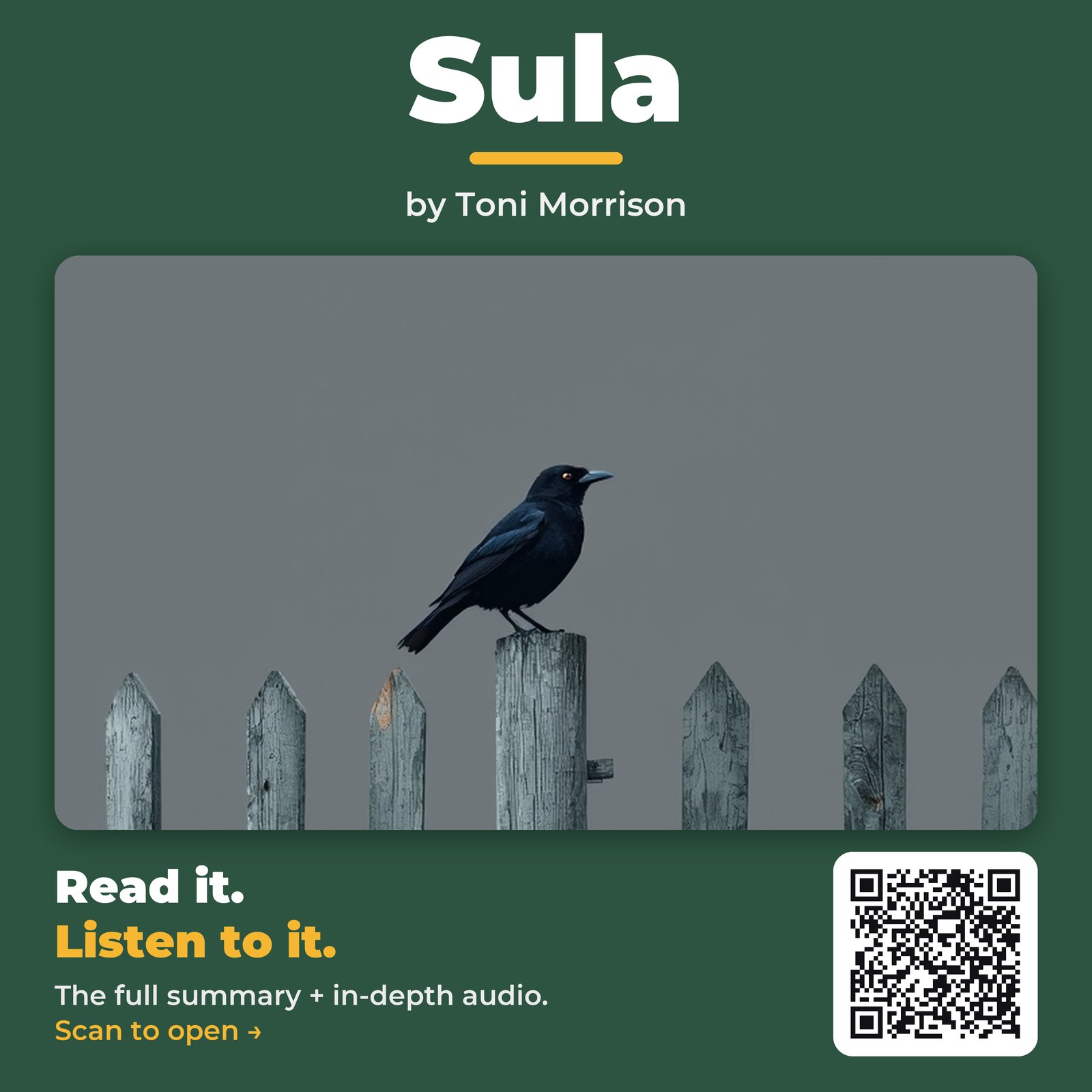 Sula by Toni Morrison - Book Summary