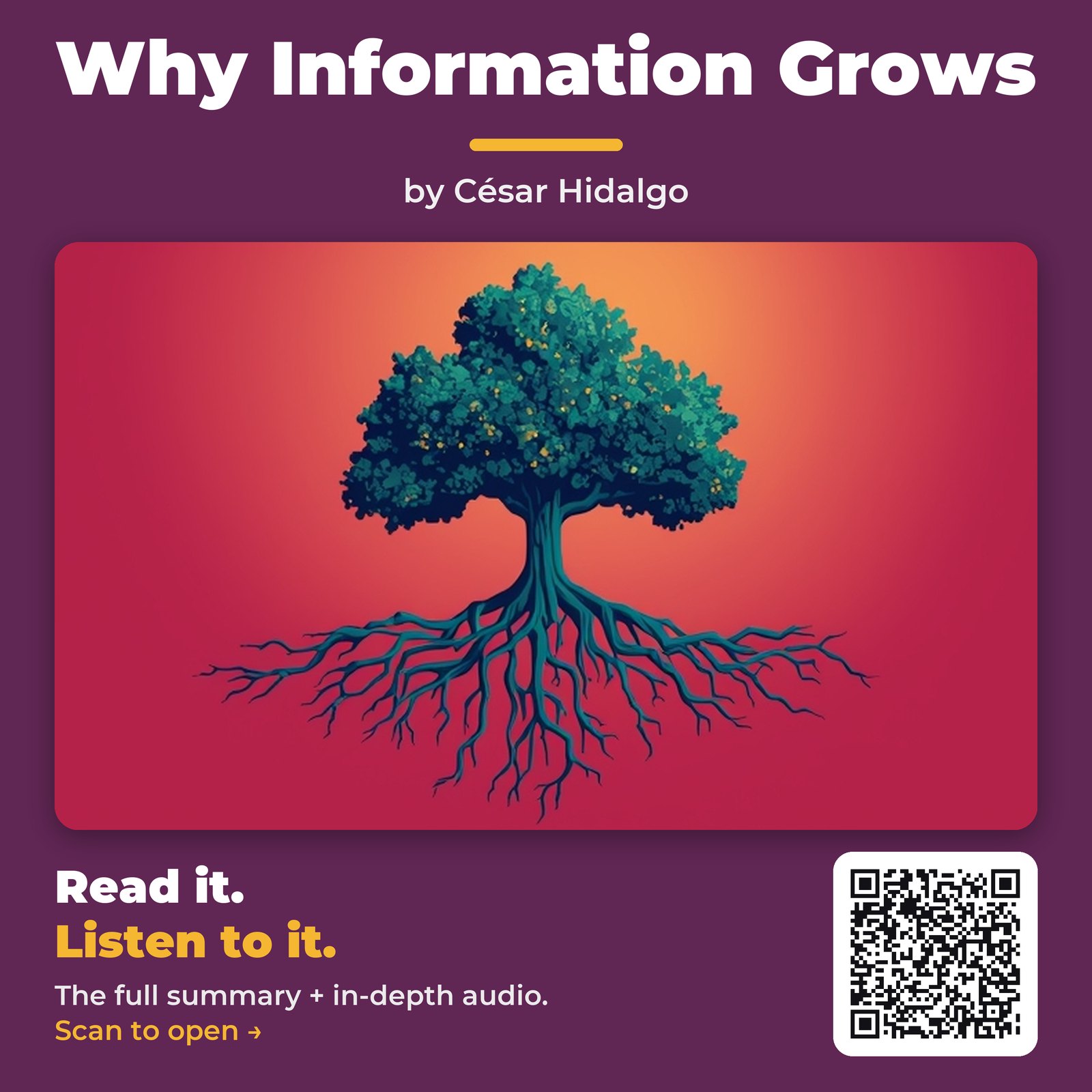 Why Information Grows by César Hidalgo