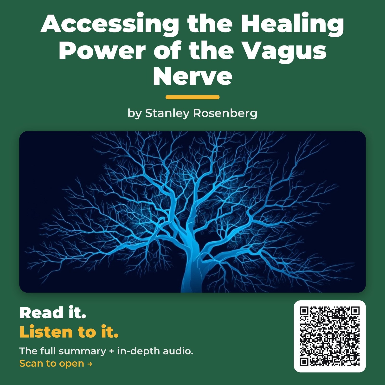 Accessing the Healing Power of the Vagus Nerve by Stanley Rosenberg - Book Summary